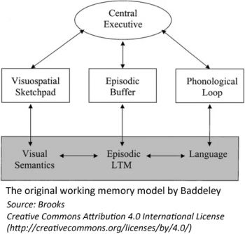 Multicomponent model Updated.jpg